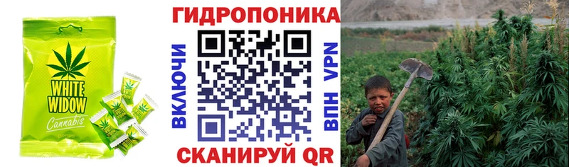 Cannafood конопля  Кудымкар 