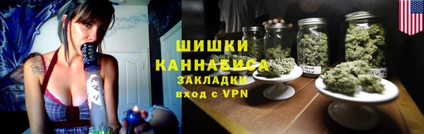 шишки Бикин